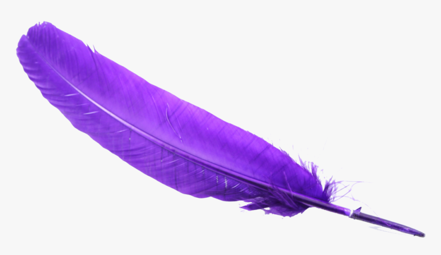 #purple #feather #png #overlay #overlayicon #icon #iconoverlay - Transparent Background Feather Clipart, Png Download