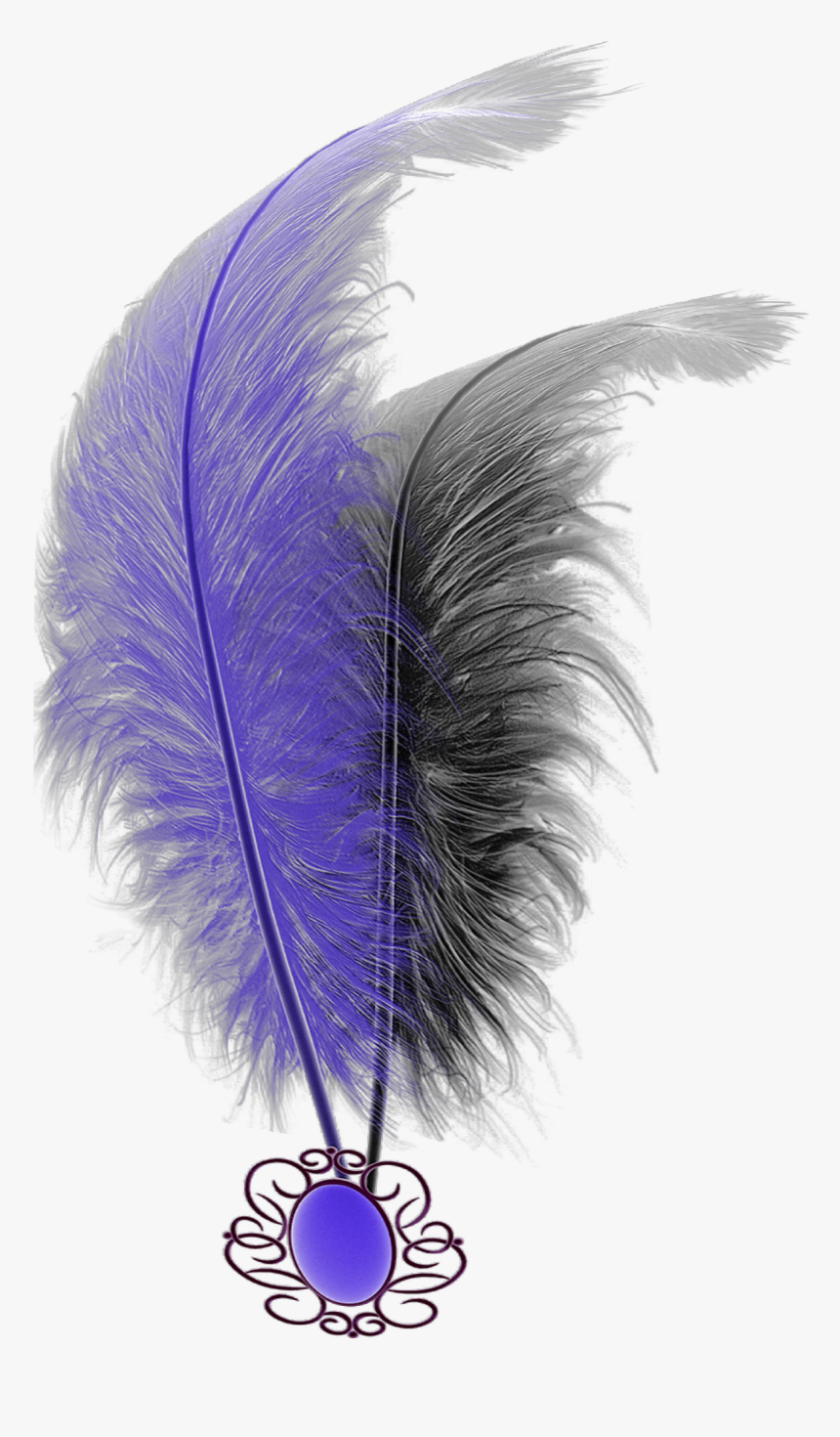 #mq #purple #black #feathers #feather - Feather, HD Png Download