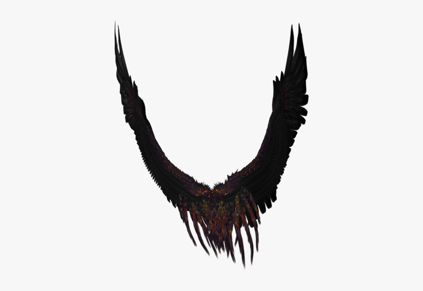 Png รูป ปีก, Transparent Png