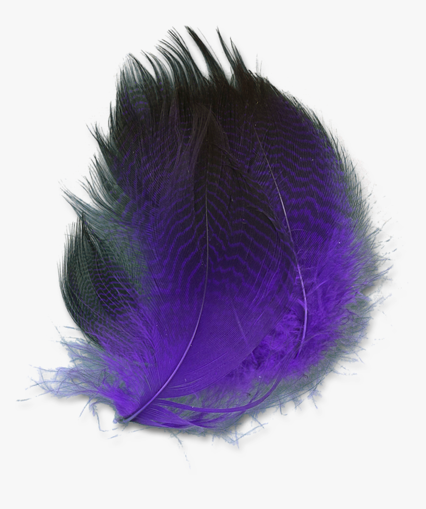 Dyed Gadwall - Purple - Oval, HD Png Download
