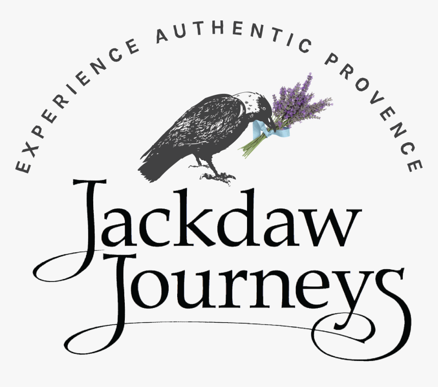 Jackdaw Journeys - Crow, HD Png Download