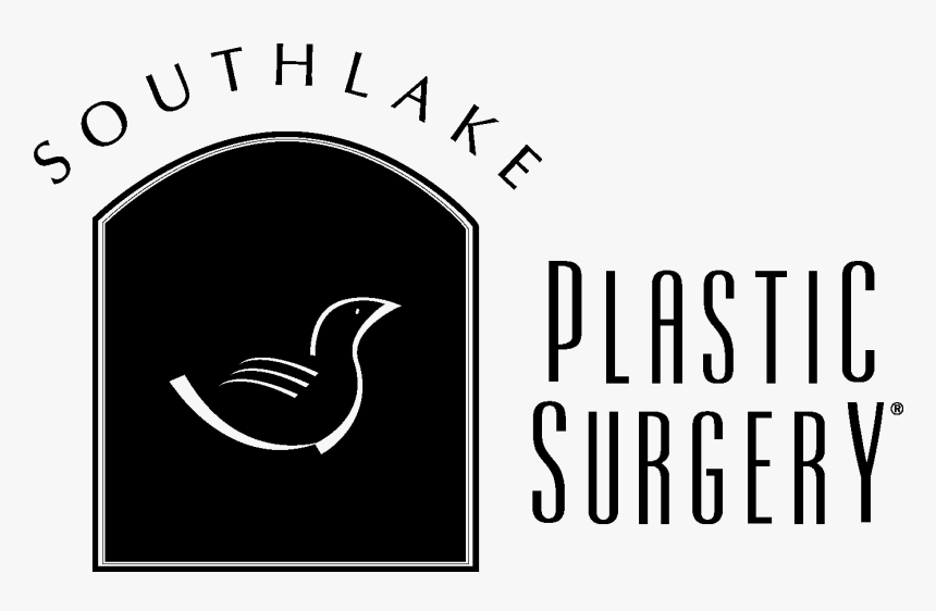Southlake - Duck, HD Png Download