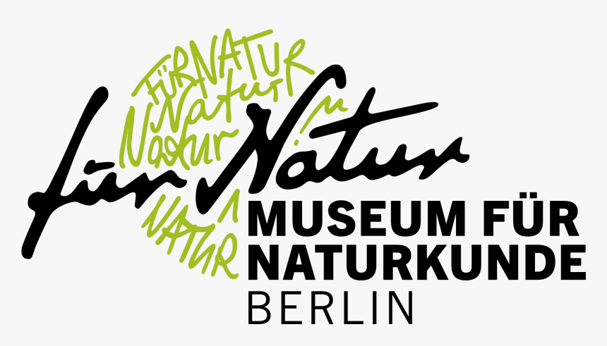 Museum Für Naturkunde Berlin Logo, HD Png Download