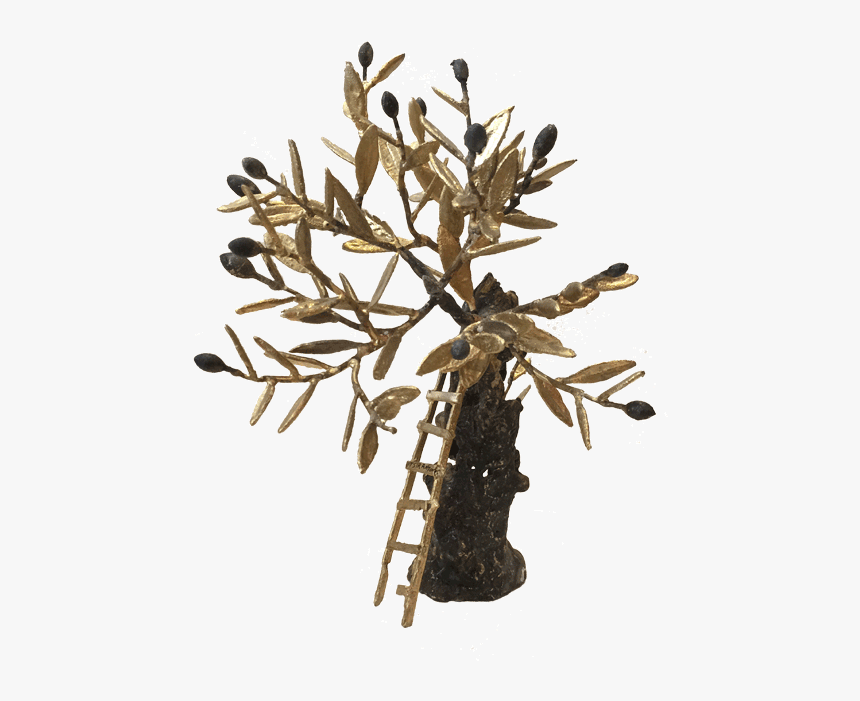 Bronze Olive Tree - Pine Family, HD Png Download