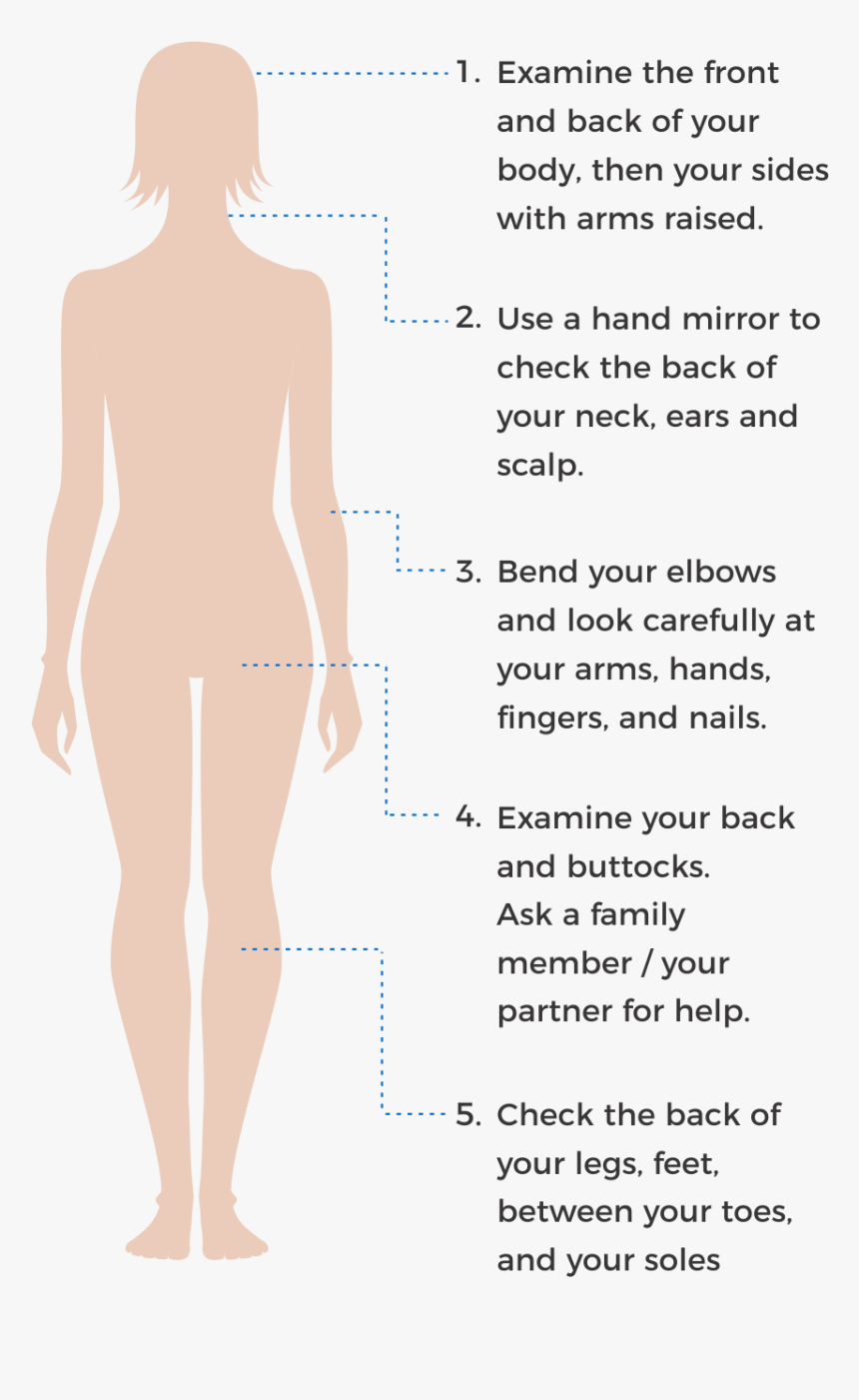 How To Check Your Skin Spots - Girl, HD Png Download