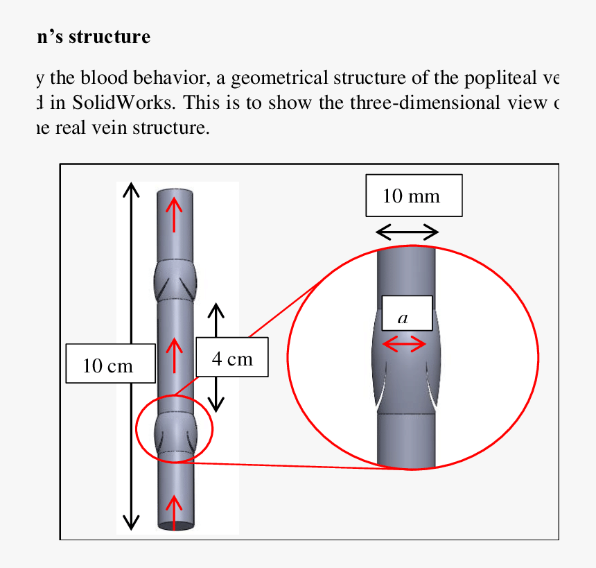 Diagram, HD Png Download