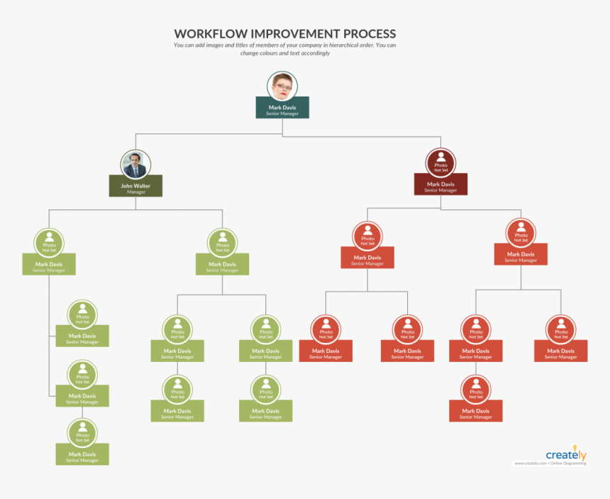 Org Chart For Workflow Improvements - Members Of The Company Chart, HD Png Download