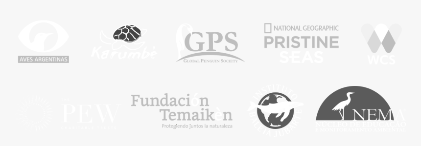 Emblem, HD Png Download