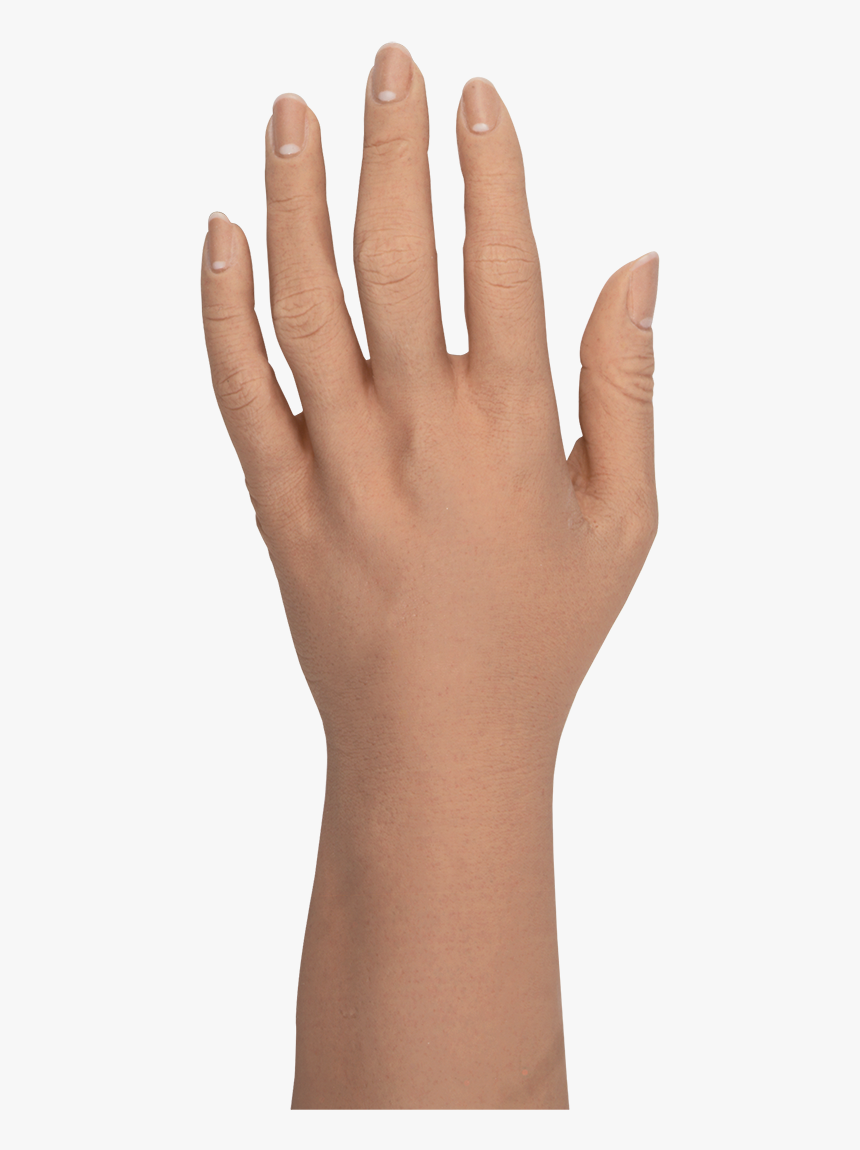 Ring, HD Png Download