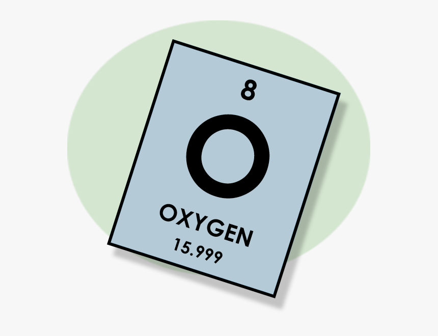 Circle, HD Png Download