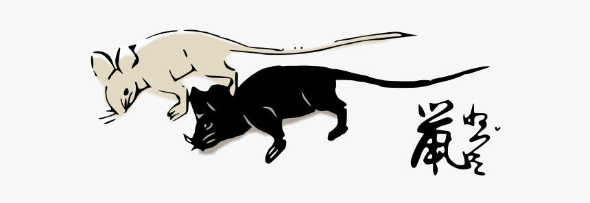 Mice-1574687480 - Raton Negro Y Raton Blanco, HD Png Download