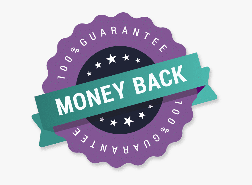 Wordpress Support Guarantee - Einstein Bagels Coupons, HD Png Download