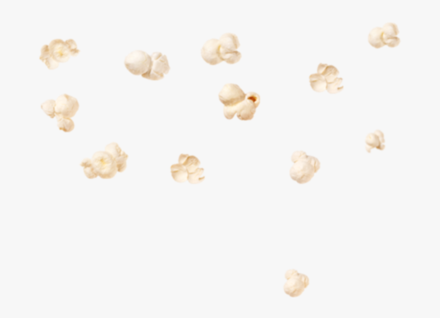 Tan, HD Png Download