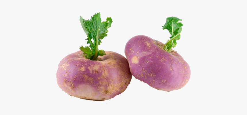 Turnip Png, Transparent Png