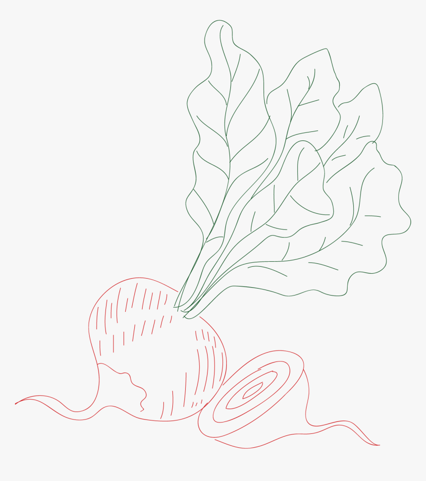 Line Art, HD Png Download