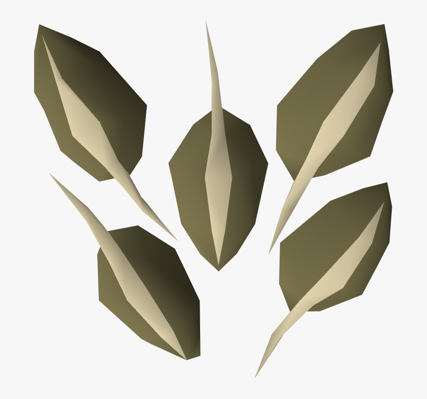 The Runescape Wiki - Zingiberales, HD Png Download