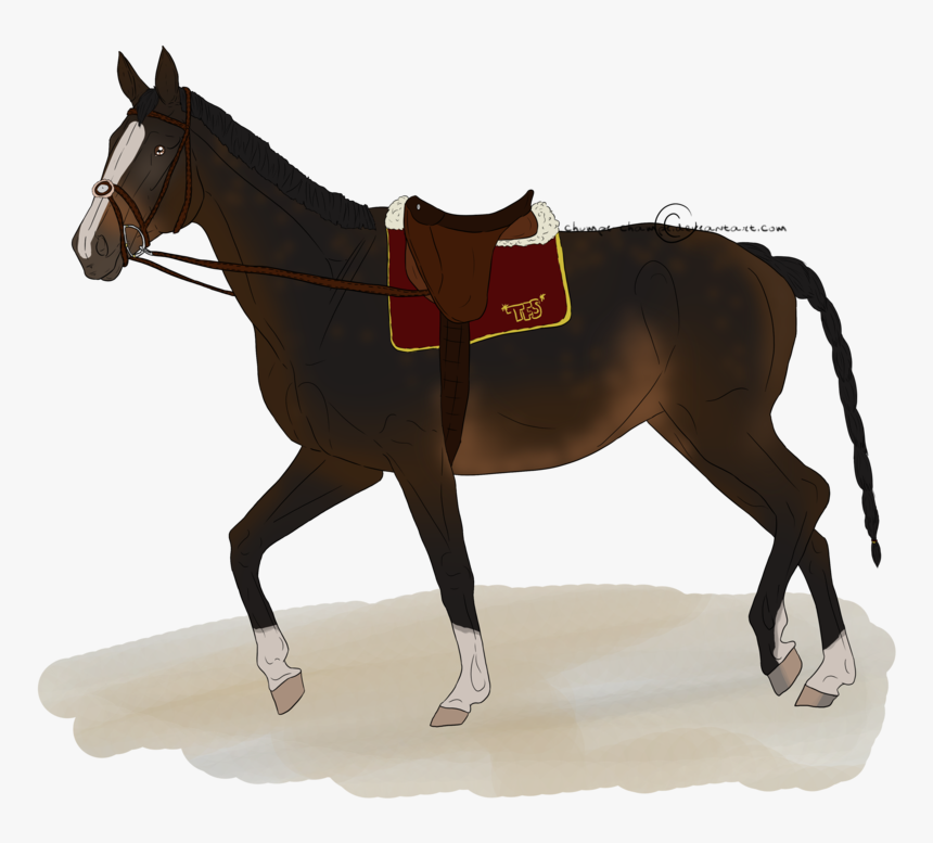 Mule Horse Silhouette - Horse, HD Png Download