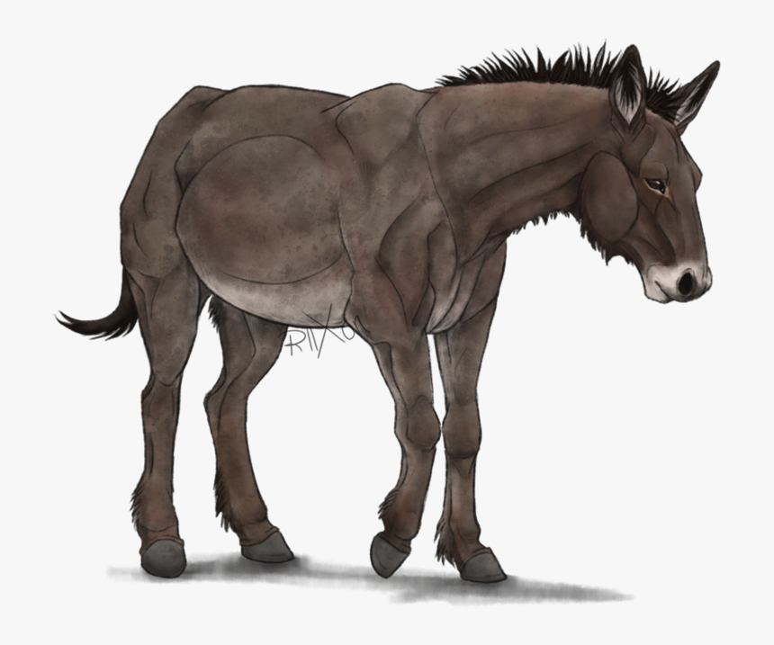 Mule By Riixon Pluspng - Mule Png, Transparent Png