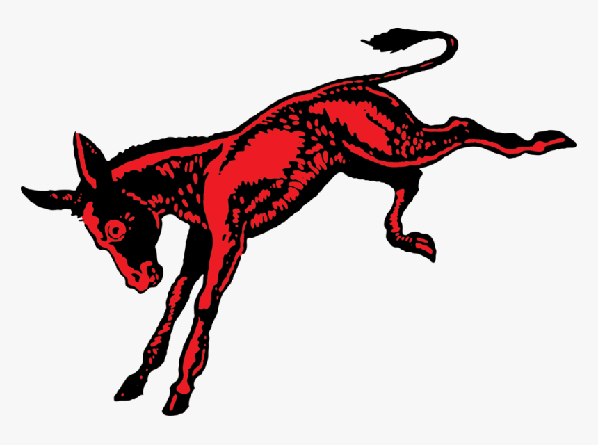 Mule Png, Transparent Png
