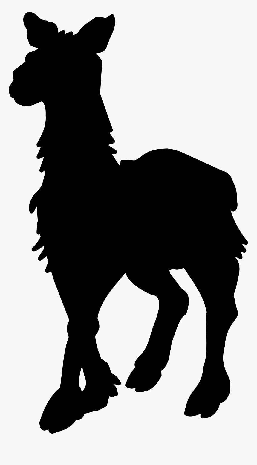 Mule Foal Stallion Mustang Donkey - Silhouette, HD Png Download