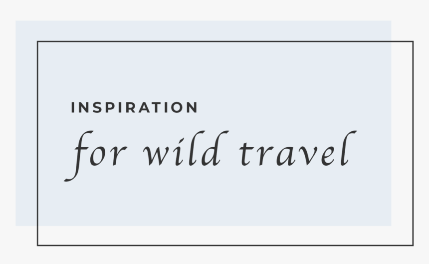 Inspiration - Just A Retard In Tin, HD Png Download