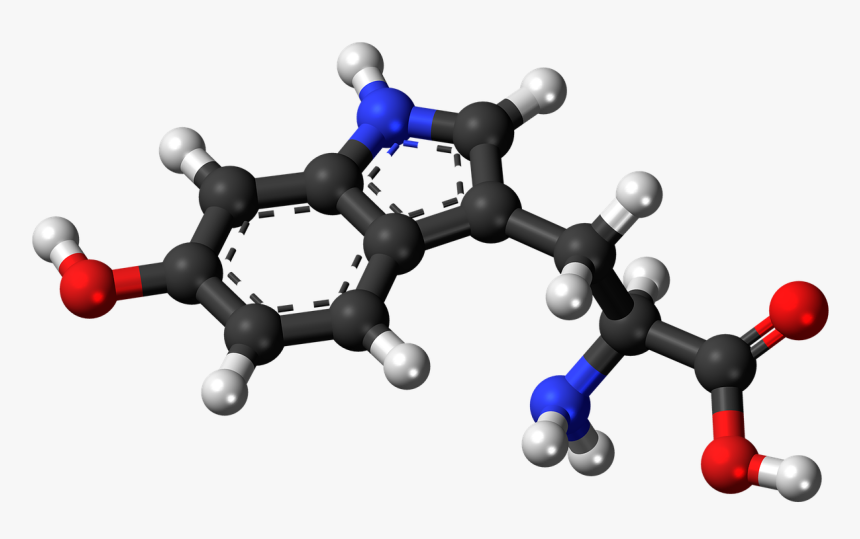 Hormones Clipart, HD Png Download , Transparent Png Image - PNGitem