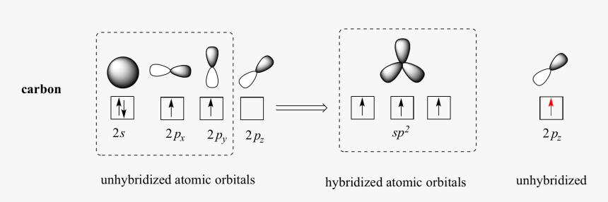 Fig2 1 14, HD Png Download