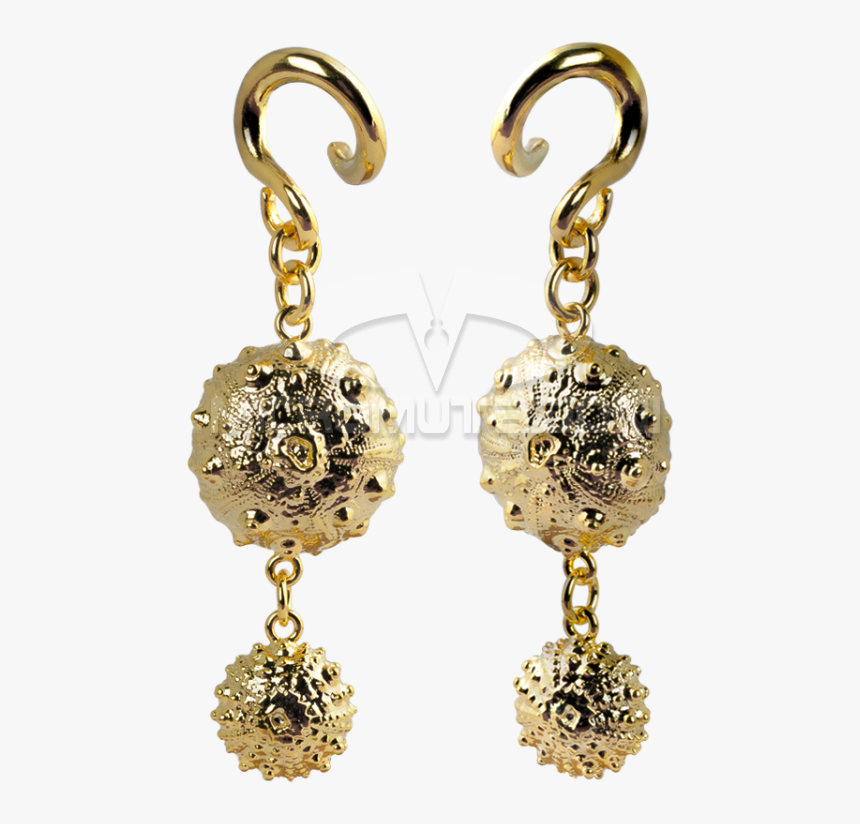 Exoskeleton Sea Urchin Brass Pendant Ear - Earrings, HD Png Download