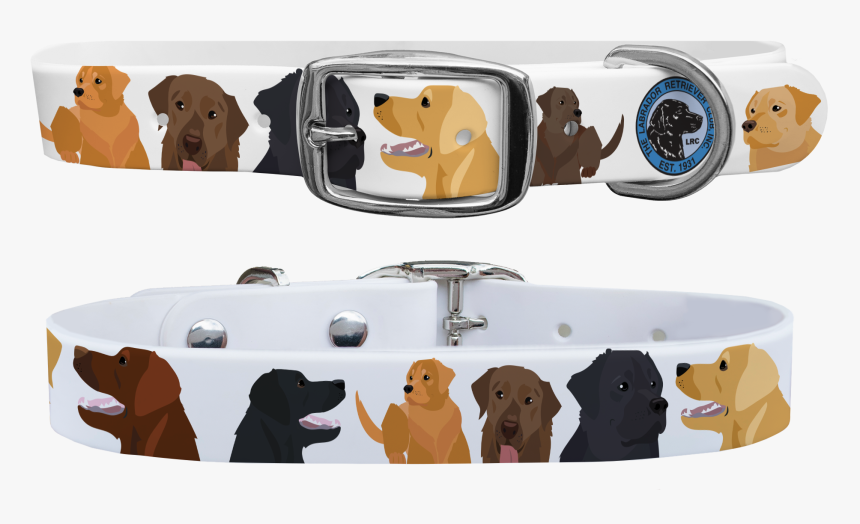 Dachshund, HD Png Download