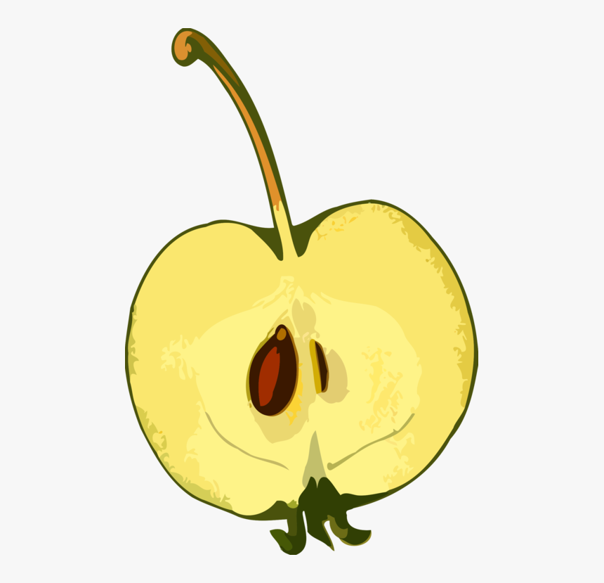 Plant,flower,apple, HD Png Download