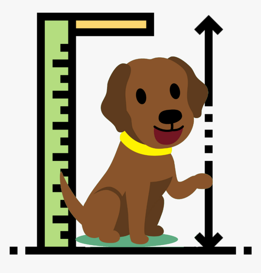 How Big Do Labs Get - Icone Altura, HD Png Download