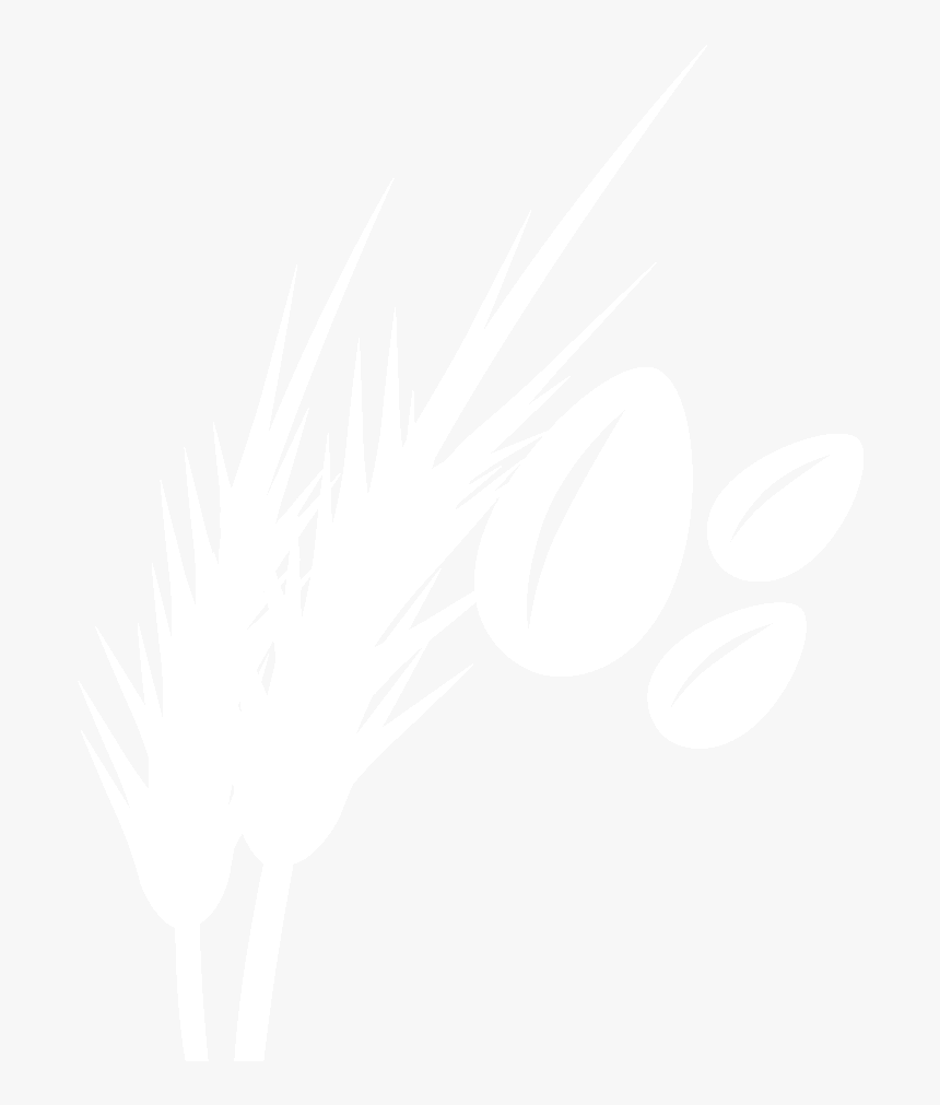 Food Icon - Illustration, HD Png Download