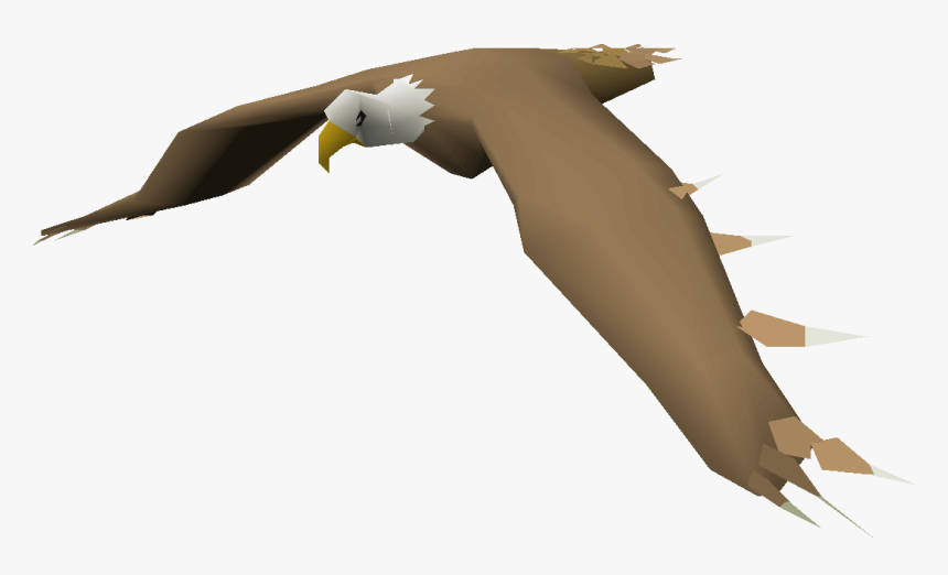 Albatross, HD Png Download