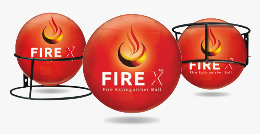 Shivanicompanies - Fruit, HD Png Download