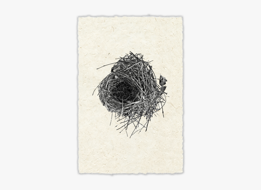Nest, HD Png Download