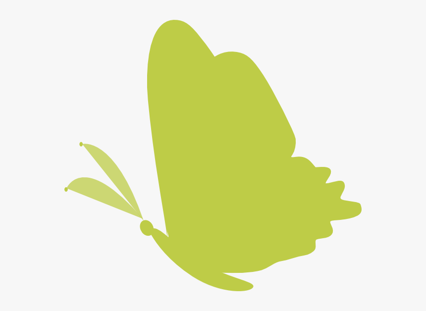 Green Butterfly Images Vector, HD Png Download