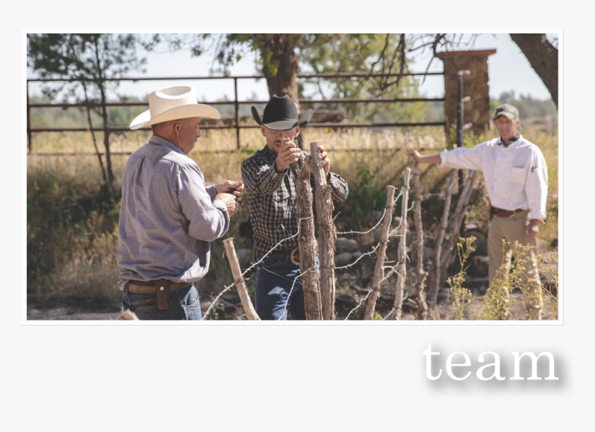 Team - Field, HD Png Download