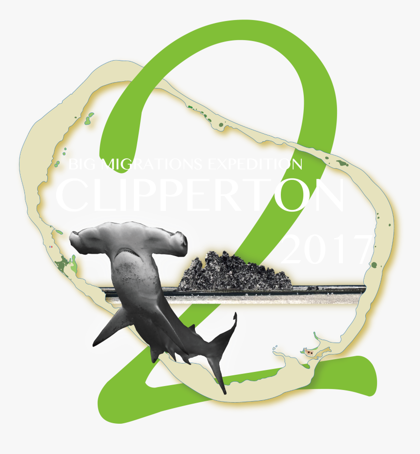 Transparent Abiotic Clipart - Killer Whale, HD Png Download