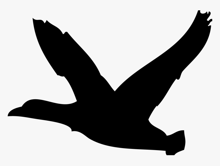 Eagle, HD Png Download