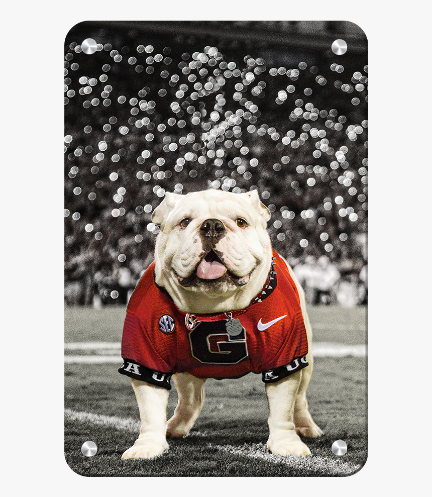 Uga Under The Lights - University Of Georgia, HD Png Download