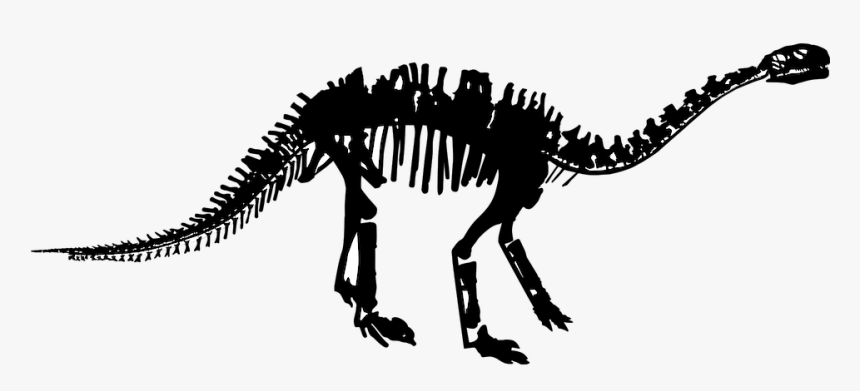 Tyrannosaurus, HD Png Download