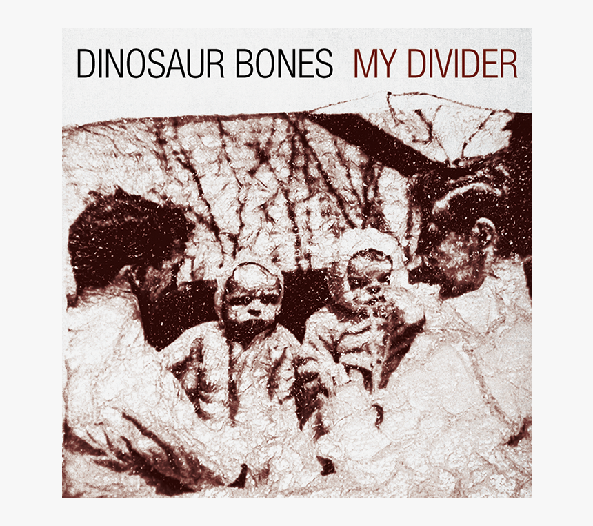 Dinosaur Bones, HD Png Download