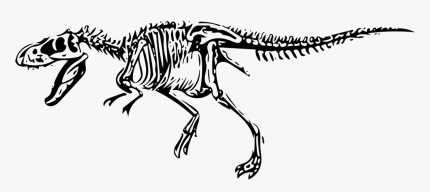 Tyrannosaurus, HD Png Download