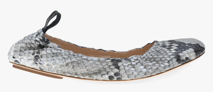 Ballet Flat, HD Png Download