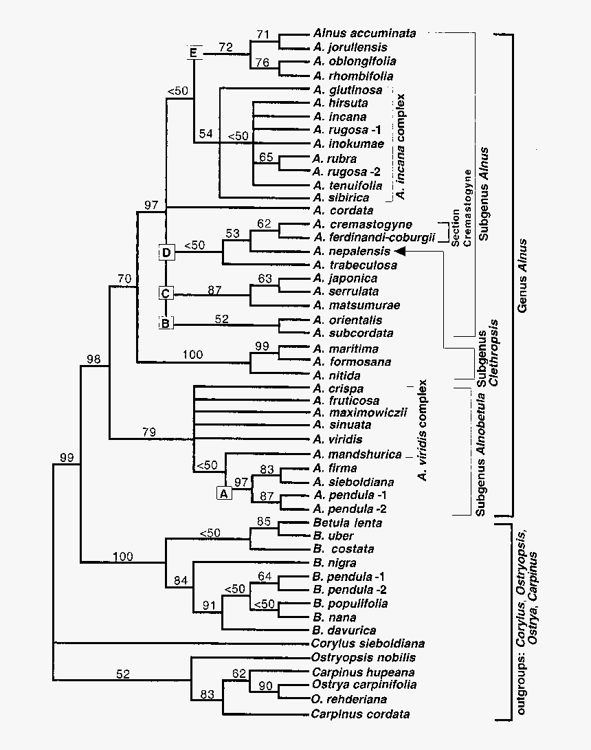 Document, HD Png Download