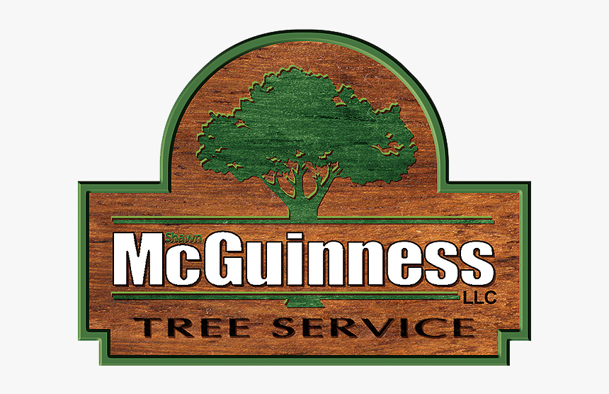 Tree Service Company New Hampshire - Tree, HD Png Download