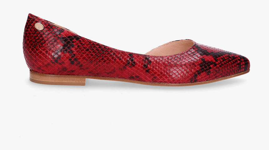 Ballet Flat, HD Png Download