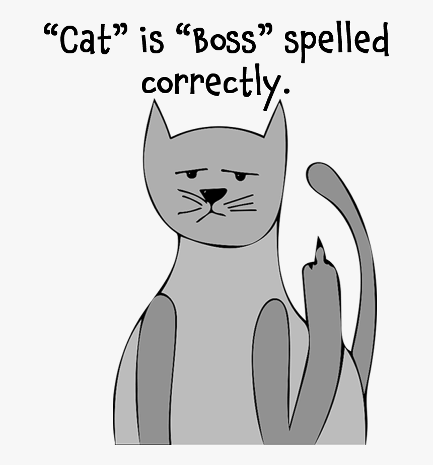 Cat - Cartoon, HD Png Download
