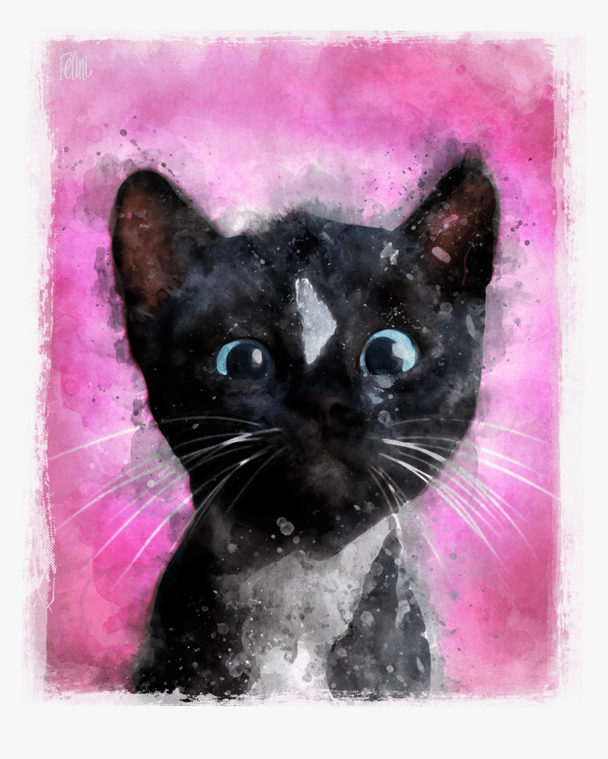 Cat Yawns, HD Png Download