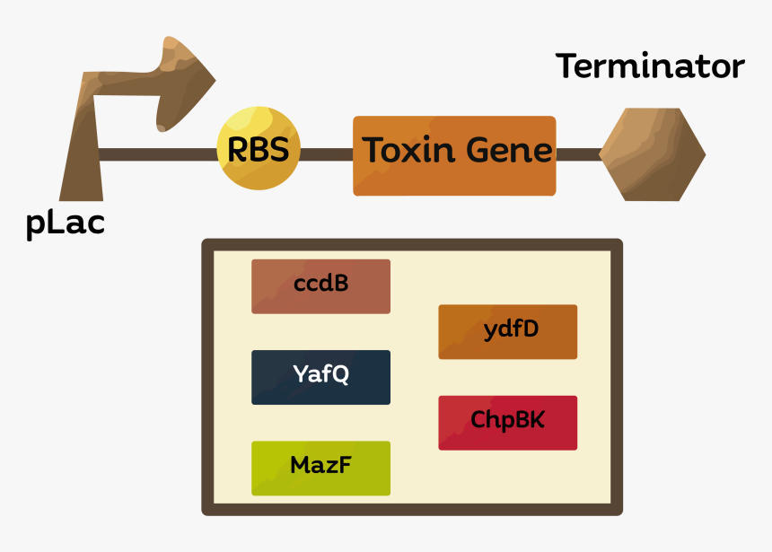 Diagram, HD Png Download